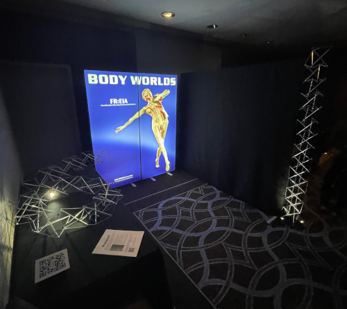 body worlds